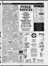 Marylebone Mercury Thursday 09 November 1995 Page 29