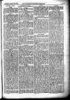 Leicester Chronicle Saturday 07 August 1915 Page 17