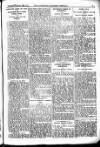 Leicester Chronicle Saturday 28 August 1915 Page 15