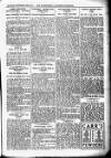 Leicester Chronicle Saturday 18 September 1915 Page 11