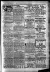 Leicester Chronicle Saturday 22 January 1916 Page 7