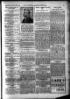 Leicester Chronicle Saturday 22 January 1916 Page 11