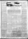 Leicester Chronicle Saturday 23 November 1918 Page 9