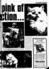 Leicester Chronicle Friday 18 October 1974 Page 13