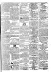Morning Journal (Kingston) Friday 19 February 1864 Page 3