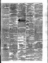 Morning Journal (Kingston) Tuesday 08 November 1864 Page 3