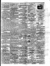 Morning Journal (Kingston) Friday 02 December 1864 Page 3