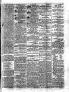 Morning Journal (Kingston) Tuesday 05 December 1865 Page 3