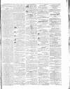 Morning Journal (Kingston) Wednesday 05 May 1869 Page 3
