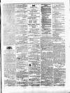 Morning Journal (Kingston) Saturday 03 February 1872 Page 3