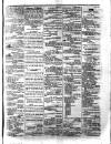 Morning Journal (Kingston) Saturday 11 April 1874 Page 3