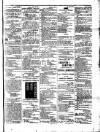 Morning Journal (Kingston) Tuesday 27 April 1875 Page 3