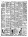 Beverley Independent Saturday 05 August 1905 Page 3