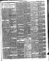 Beverley Independent Saturday 27 August 1910 Page 7