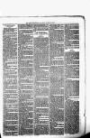 Birmingham & Aston Chronicle Saturday 23 October 1875 Page 3