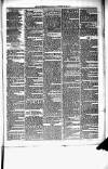 Birmingham & Aston Chronicle Saturday 30 October 1875 Page 3