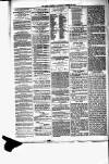 Birmingham & Aston Chronicle Saturday 30 October 1875 Page 4