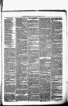 Birmingham & Aston Chronicle Saturday 06 November 1875 Page 3