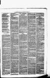 Birmingham & Aston Chronicle Saturday 13 November 1875 Page 3