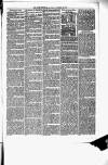 Birmingham & Aston Chronicle Saturday 20 November 1875 Page 7