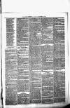 Birmingham & Aston Chronicle Saturday 11 December 1875 Page 7