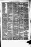 Birmingham & Aston Chronicle Saturday 18 December 1875 Page 3