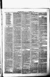 Birmingham & Aston Chronicle Saturday 25 December 1875 Page 3