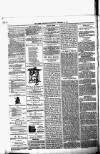 Birmingham & Aston Chronicle Saturday 25 December 1875 Page 4