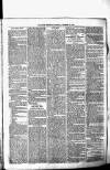 Birmingham & Aston Chronicle Saturday 25 December 1875 Page 5