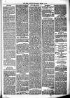 Birmingham & Aston Chronicle Saturday 01 January 1876 Page 5