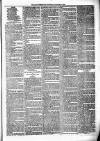 Birmingham & Aston Chronicle Saturday 08 January 1876 Page 3