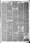 Birmingham & Aston Chronicle Saturday 08 January 1876 Page 5