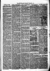 Birmingham & Aston Chronicle Saturday 05 February 1876 Page 3