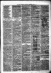 Birmingham & Aston Chronicle Saturday 12 February 1876 Page 3