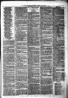 Birmingham & Aston Chronicle Saturday 19 February 1876 Page 3
