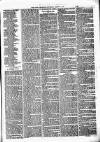 Birmingham & Aston Chronicle Saturday 18 March 1876 Page 3