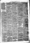 Birmingham & Aston Chronicle Saturday 22 April 1876 Page 3