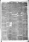 Birmingham & Aston Chronicle Saturday 22 April 1876 Page 7