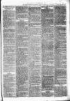 Birmingham & Aston Chronicle Saturday 29 April 1876 Page 7