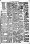 Birmingham & Aston Chronicle Saturday 13 May 1876 Page 3