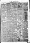 Birmingham & Aston Chronicle Saturday 05 August 1876 Page 3