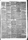 Birmingham & Aston Chronicle Saturday 05 August 1876 Page 7