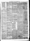 Birmingham & Aston Chronicle Saturday 02 September 1876 Page 3