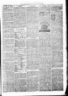 Birmingham & Aston Chronicle Saturday 07 October 1876 Page 7