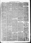 Birmingham & Aston Chronicle Saturday 28 October 1876 Page 7