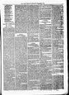 Birmingham & Aston Chronicle Saturday 04 November 1876 Page 3