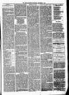 Birmingham & Aston Chronicle Saturday 04 November 1876 Page 5