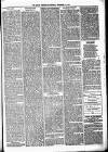 Birmingham & Aston Chronicle Saturday 18 November 1876 Page 5