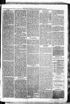 Birmingham & Aston Chronicle Saturday 03 February 1877 Page 5