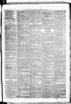 Birmingham & Aston Chronicle Saturday 03 February 1877 Page 7